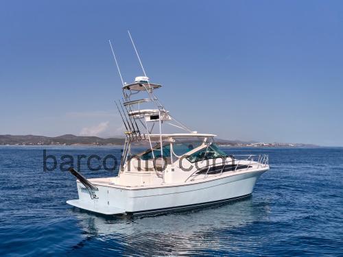 Bertram 360 Open ficha-técnica e avaliações